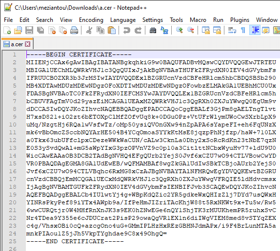 Certificate exported in CER format