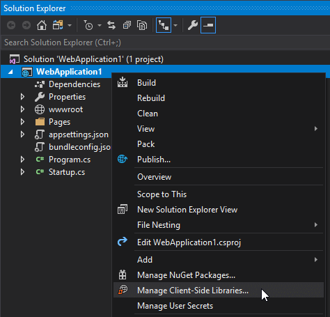 Library Manager, A Client-Side Library Manager In Visual Studio -  Meziantou'S Blog